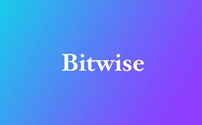 비트와이즈, 비트코인 ETF 보유량 및 거래량 공개 '온체인 투명성 강조'