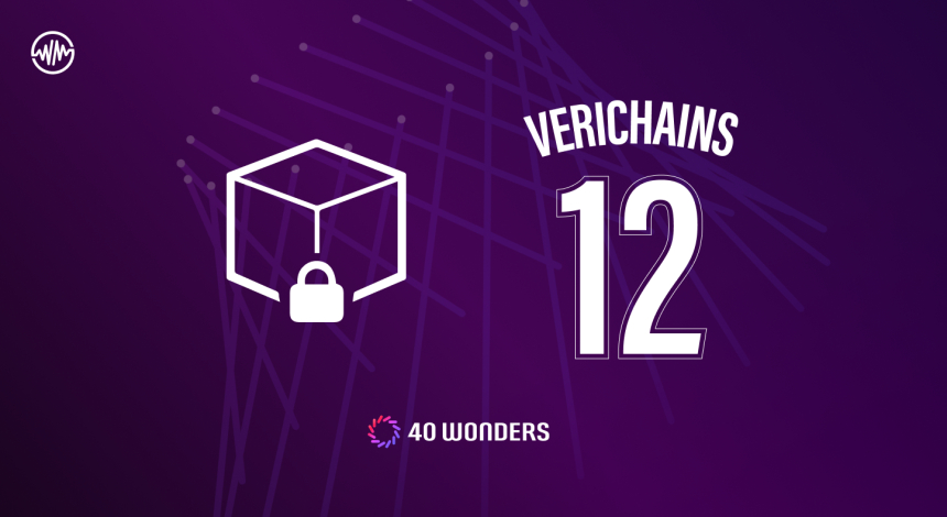  위믹스3.0, 노드 카운슬 파트너 '베리체인스(Verichains)' 합류...고유번호 'WONDER 12'