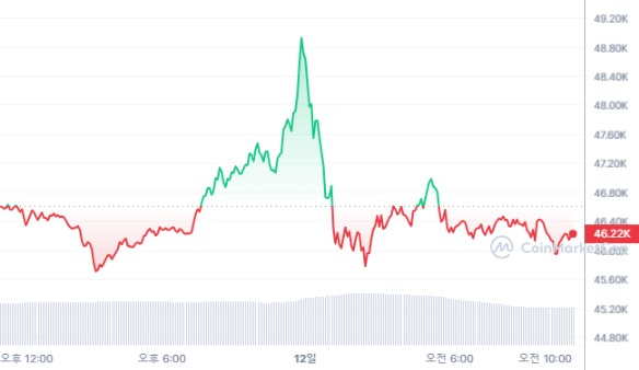  [오후 시세브리핑] 암호화폐 시장 혼조세, '비트코인' 4만6163달러선