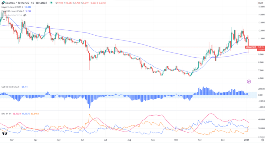  Cosmsos- 코스모스