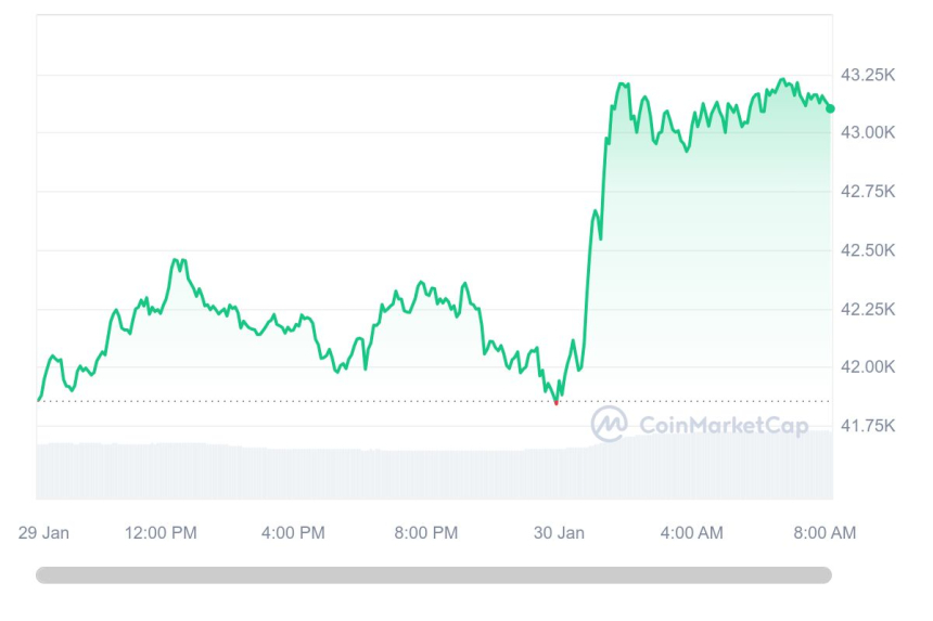  [시세브리핑] 상승세로 돌아선 암호화폐 시장...비트코인 4만3100달러 돌파