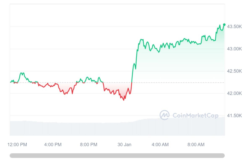  [오후 시세브리핑] 암호화폐 시장 상승세 계속...비트코인 4만3471달러선