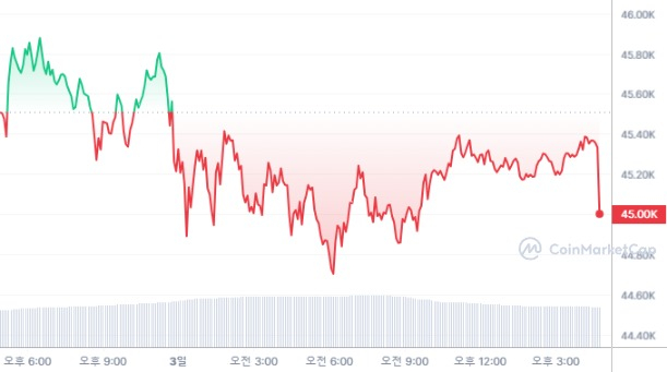  [마감 시세브리핑] 암호화폐 시장 약보합세...비트코인 4만5000달러선