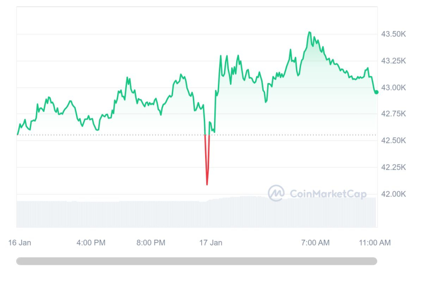  [오후 시세브리핑] 암호화폐 시장 상승세 유지...비트코인 4만2970달러선