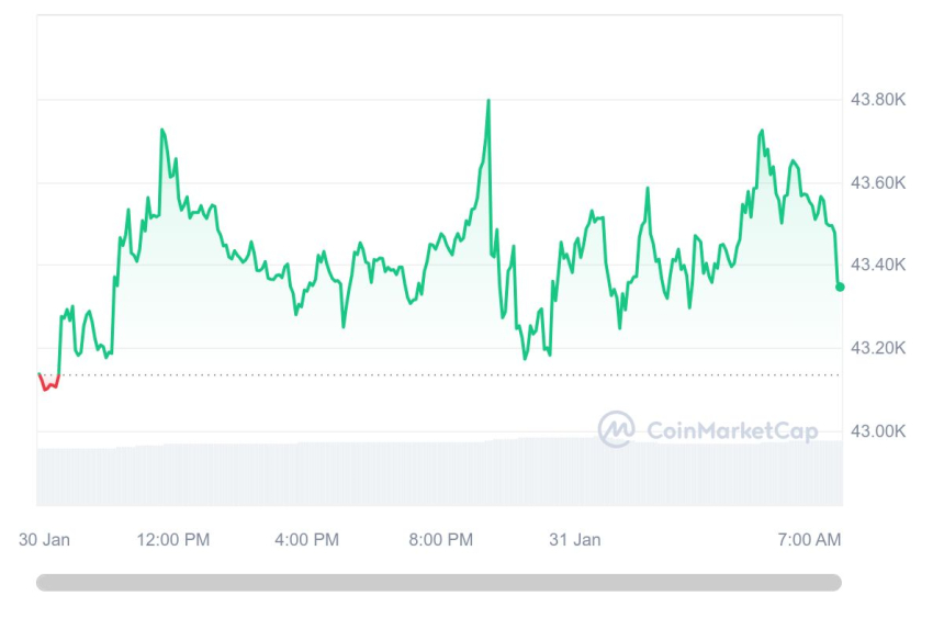  [시세브리핑] 암호화폐 시장 혼조세...비트코인 4만3490달러선