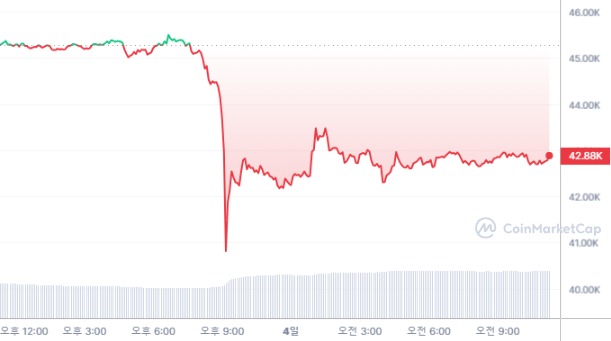 [오후 시세브리핑] 암호화폐 시장 하락세...비트코인 4만2787달러선