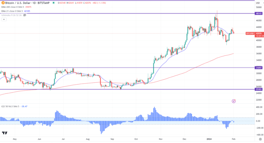  [BTC 일일 브리핑] 중앙은행 금리동결, 비트코인 상승폭 반납