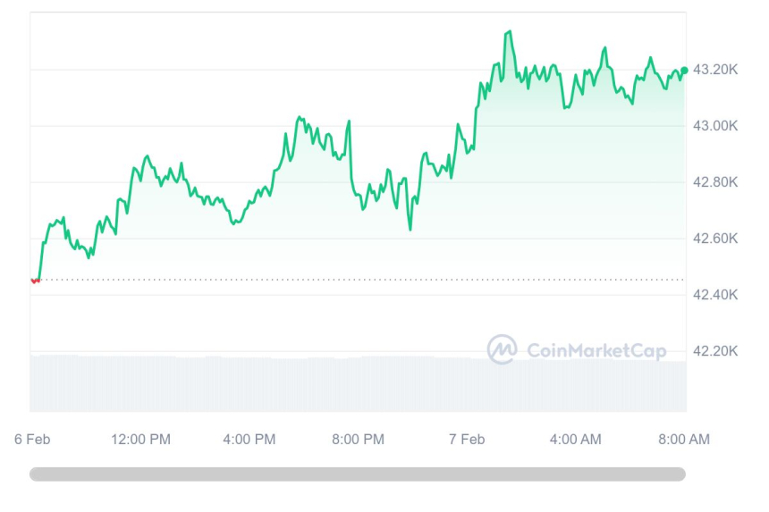  [시세브리핑] 암호화폐 시장 완만한 상승 흐름...비트코인 4만3190달러선