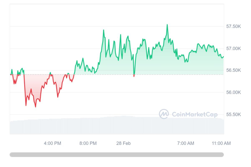  [오후 시세브리핑] 비트코인·이더리움 숨고르기...XRP·DOGE 5% ↑