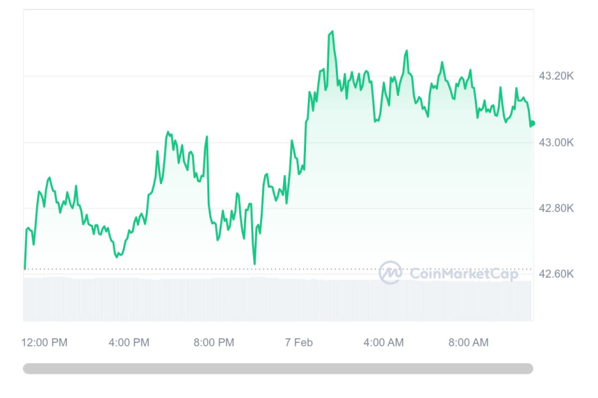  [오후 시세브리핑] 암호화폐 시장 흐름 유지...비트코인 4만3082달러선