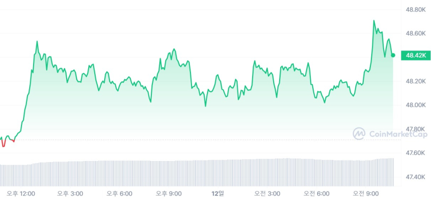  [연휴 시세브리핑] 상승 여력 보인 비트코인, 한때 4만8700달러선 터치