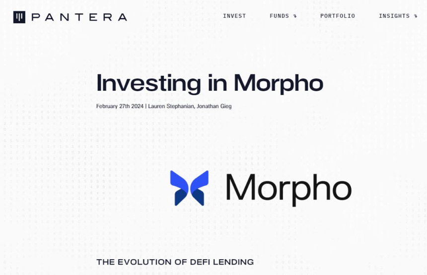  판테라 캐피털, 디파이 대출 '몰포'에 투자 