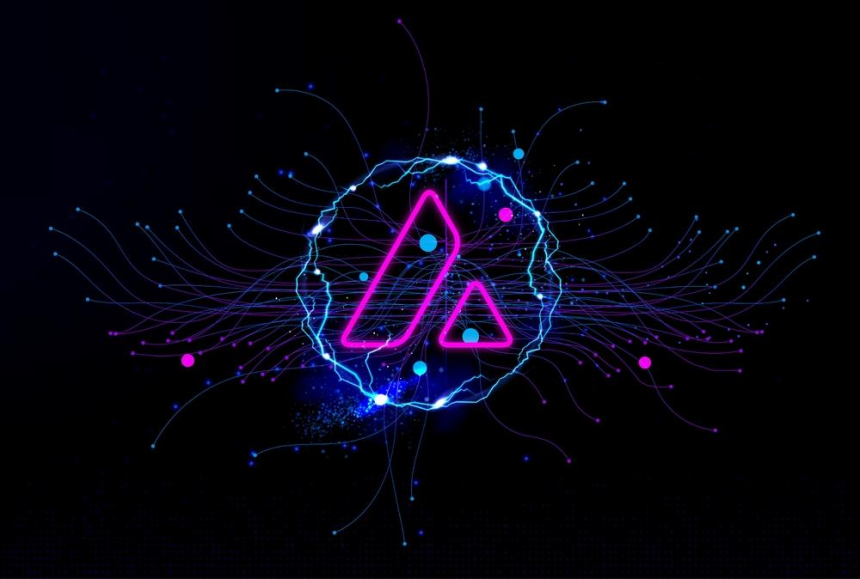 아발란체(AVAX) 재단, 보유 중인 5개의 '커뮤니티 코인' 공개