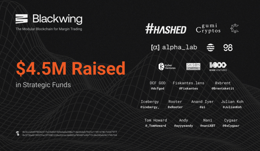  해시드, 차세대 레이어2 앱체인 ‘블랙윙’ 투자