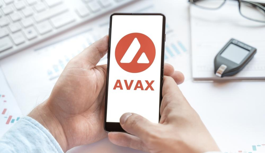 아발란체, '텔레포터' 공개로 부분망 상호 운용성 향상