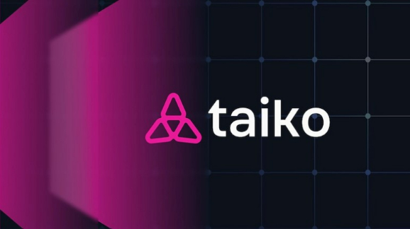 해시드, 영지식 증명 기반 레이어2 '타이코' 투자… 총 490억 원 규모