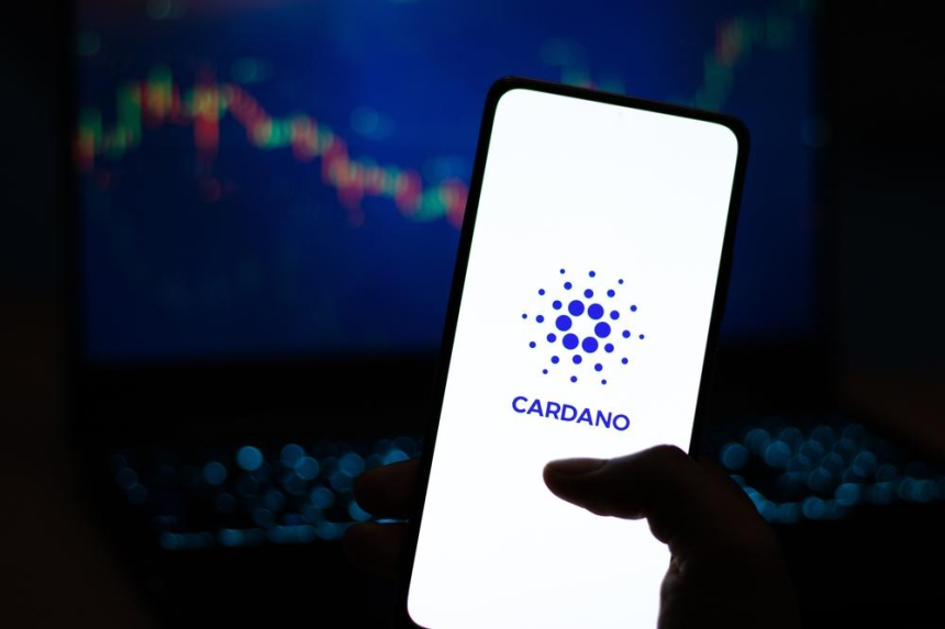  카르다노(Cardano) 창립자 찰스 호스킨슨의 스튜디오, 첫 게임 출시