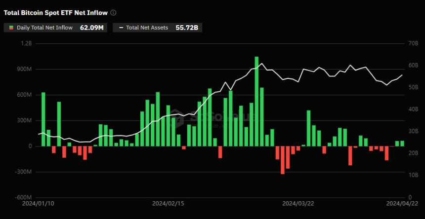  비트코인 현물 ETF, 이틀 연속 '순유입' 기록...피델리티·아크 선두 