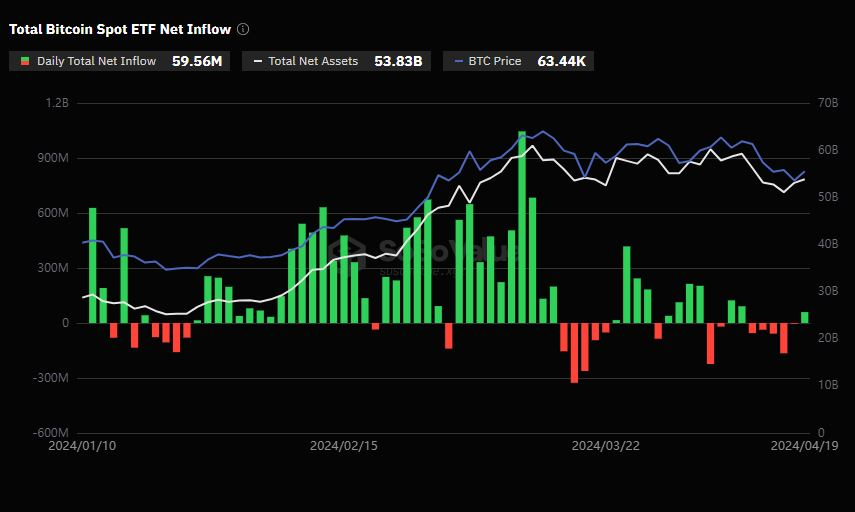 비트코인 현물 ETF, 5 거래일 만에 '순유입' 전환