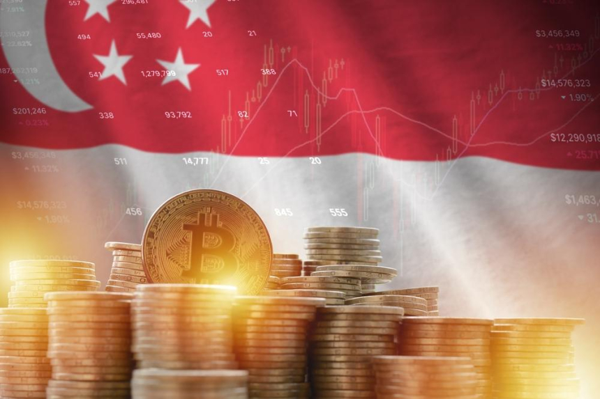 싱가포르, VC 창립자 정상회의 개최