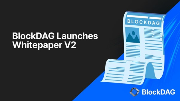  블록닥 vs 밈 코인 마니아: 2024년 암호화폐 투자의 미래 탐색