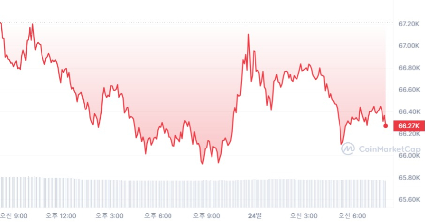 [시세브리핑] 암호화폐 시장 하락세...비트코인 6만6240달러선