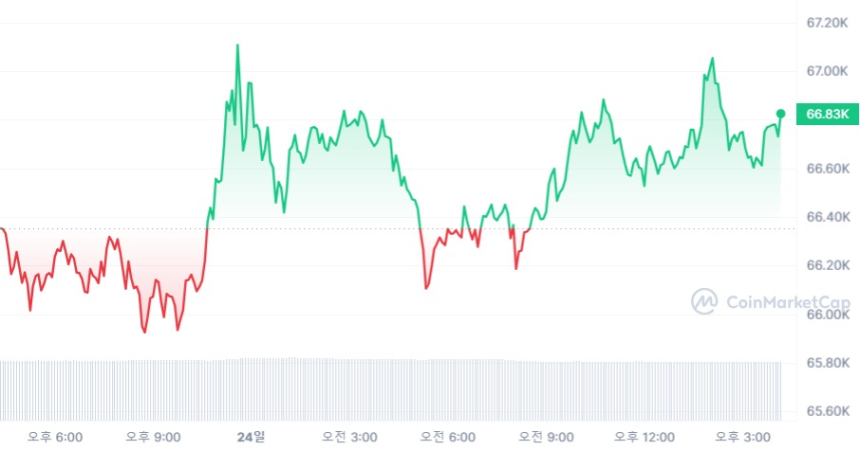 [마감 시세브리핑] 비트코인 6만6810달러, 이더리움 3250달러선