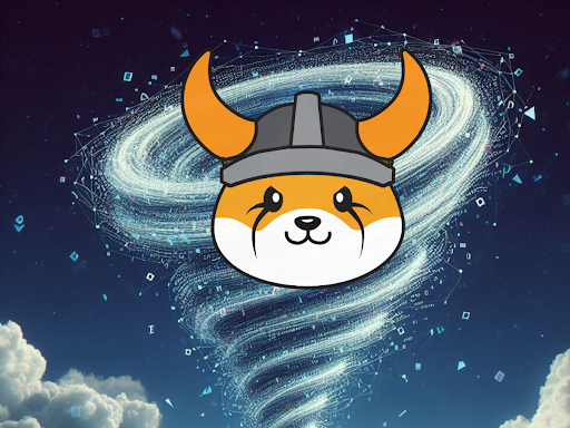  플로키와 유니스왑 투자자들은 보로 파이낸스($ROE) 프리세일에 대한 전문가의 예측