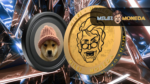  밈코인 조정...마일리 모네다 사전 판매 기록 대규모 구매