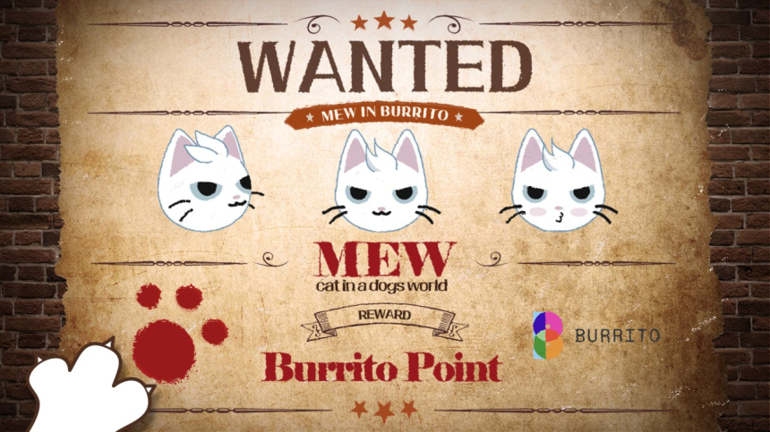  부리또 월렛, 고양이 밈코인 ‘MEW’ 콜라보 이벤트