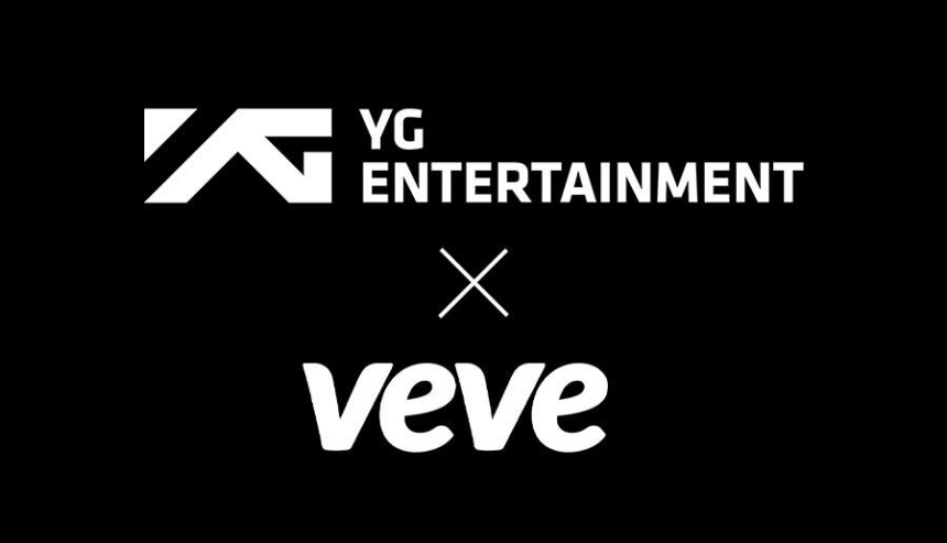  뷔뷔코리아-YG 엔터테인먼트 파트너십 체결…