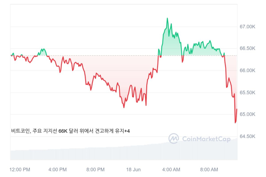 [오후 시세브리핑] 비트코인 6만5016달러선...상위 알트코인 큰 폭으로 하락