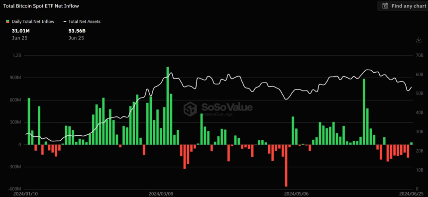 美 비트코인 현물 ETF 시장, 자금 유출 멈췄다