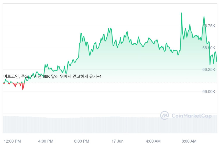  [오후 시세브리핑] 암호화폐 보합세, 비트코인 6만6365달러선