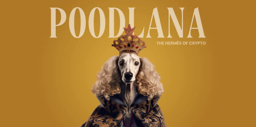  푸들이 과연 새로운 강아지 밈코인 트렌드를 이끌까?