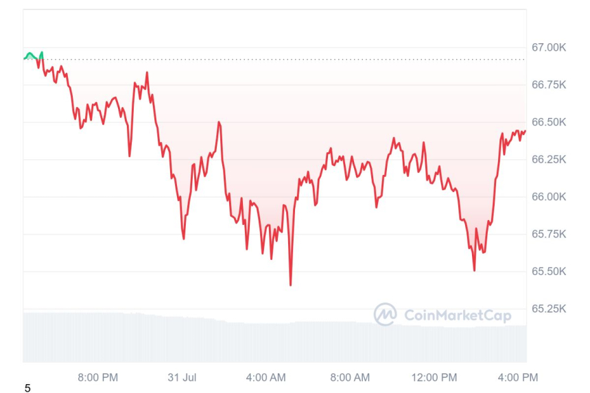 [마감 시세브리핑] 암호화폐시장 약세...비트코인 6만6449달러