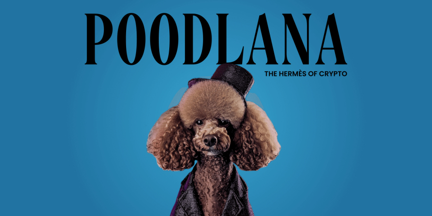  블록다그 vs 푸들라나: 주목해야 할 암호화폐 격돌