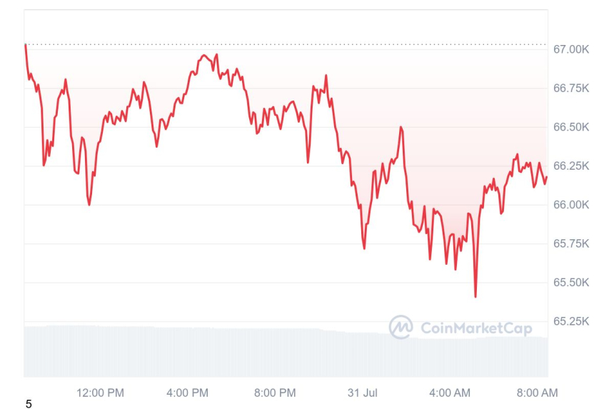 [시세브리핑] 암호화폐 시장 혼조세...비트코인 6만6169달러 부근
