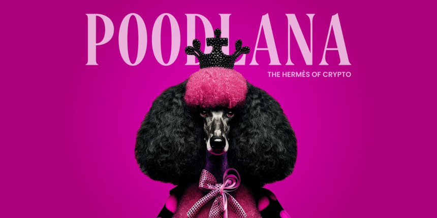  한국의 암호화폐 열풍: 푸들라나, 출시 앞두고 바이럴 히트