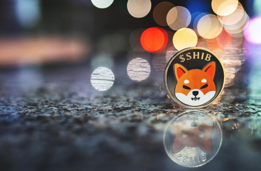  시바 이누(SHIB)의 리더들, 첫 인터뷰 공개