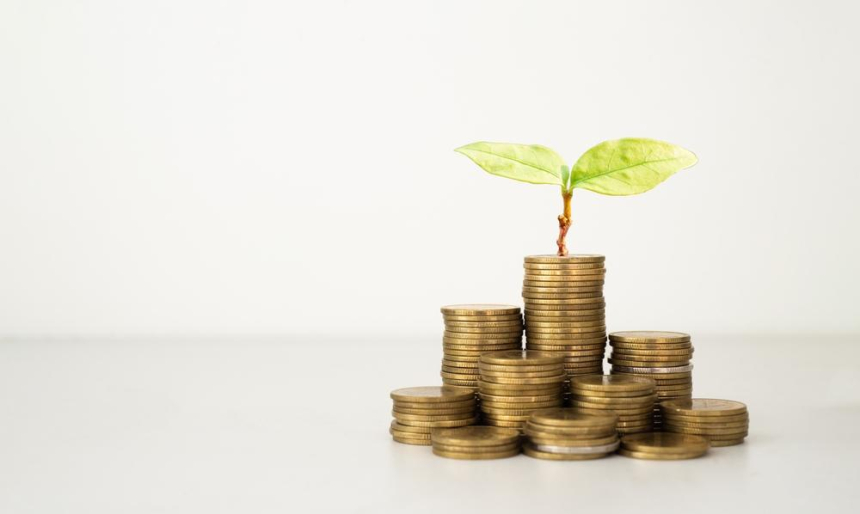 모나드 기반 주문서 거래소 쿠루, 200만 달러 시드 펀딩 조달