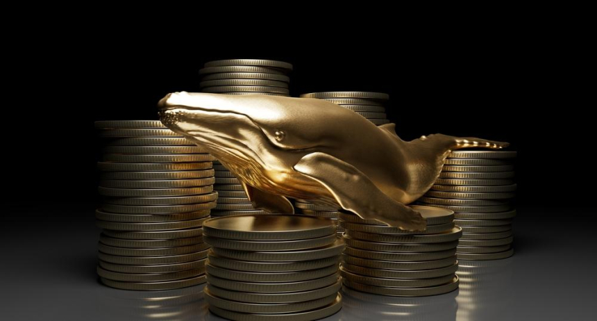 고래들의 비트코인 매각? 두 지갑, 바이낸스로 9500 BTC 입금