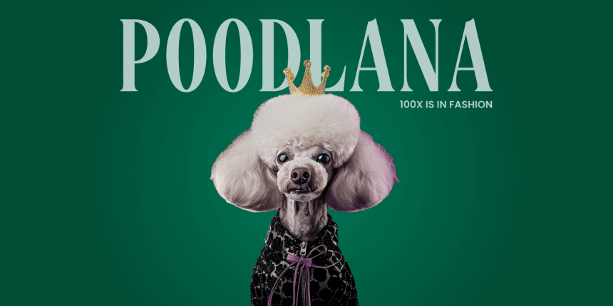  런웨이에서 블록체인까지: 푸들라나의 부상