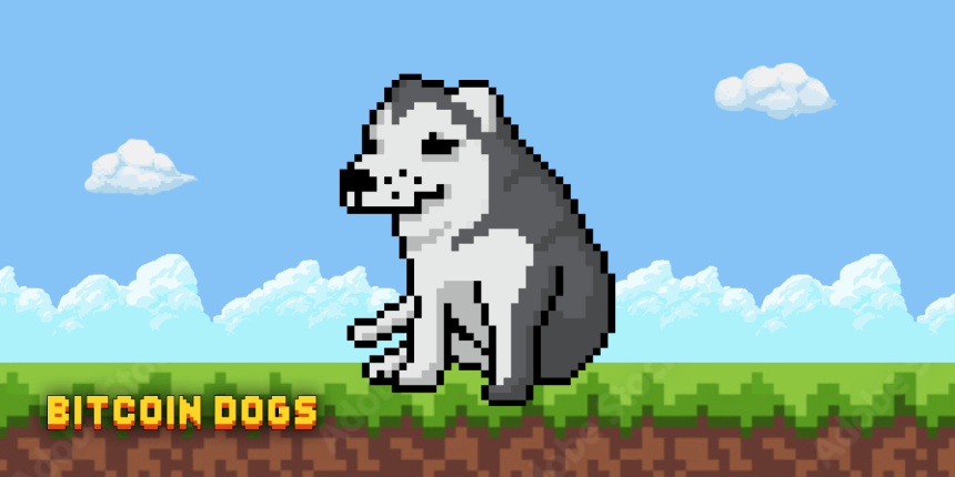  비트코인 도그: 모두가 주목하는 최고의 알트코인