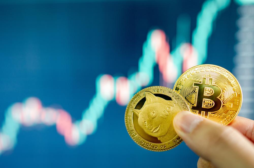 비트코인에 집중하는 기관 투자자들, 밈코인에 몰두하는 소매 투자자들