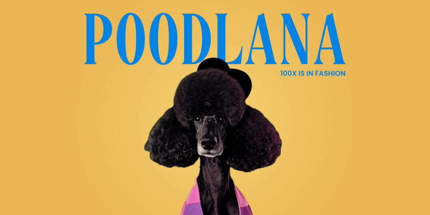  마지막 날: 한국인 바이럴 센세이션 푸들라나, 660만 달러으로 프리세일 종료