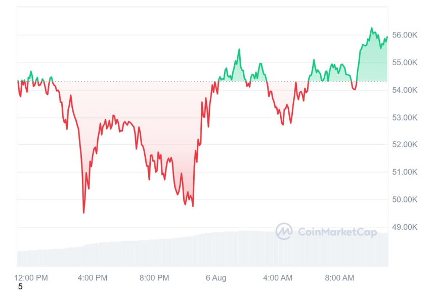 [오후 시세브리핑] 암호화폐 시장 회복세...비트코인 5만5762러