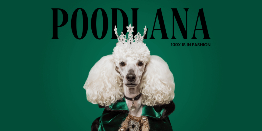  27일 만에 6m달러 유치: 암호화폐 시장에 폭발적으로 등장한 푸들라나