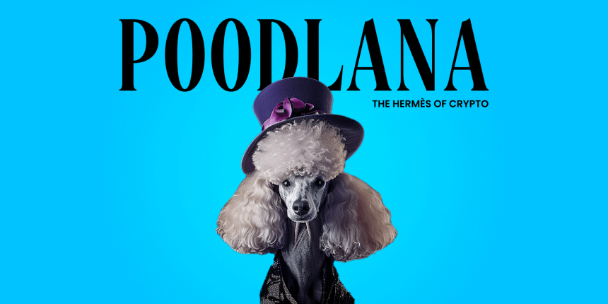  POODL의 상위 거래소 상장: WIF와 BONK가 2024년 최고의 수익원이 될 수 없는 이유