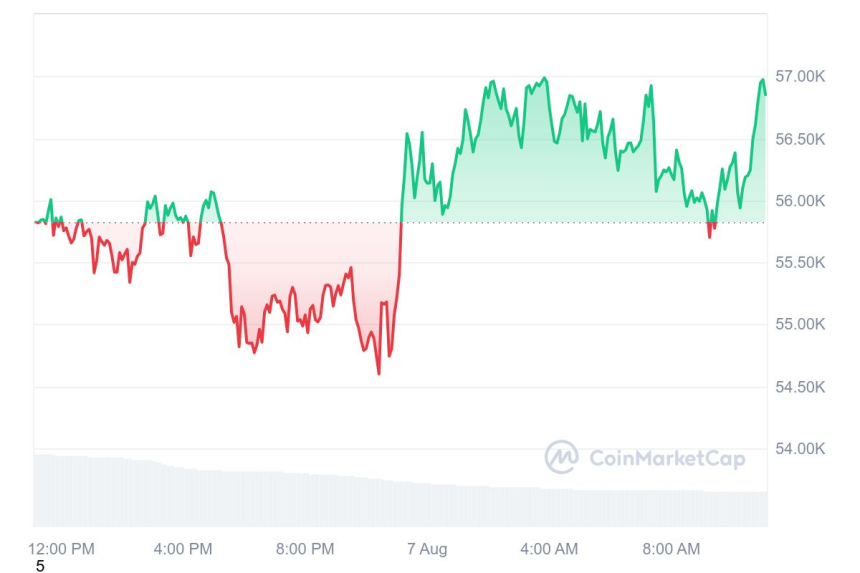 [오후 시세브리핑] 암호화폐 시장 회복세...비트코인 5만6909달러선